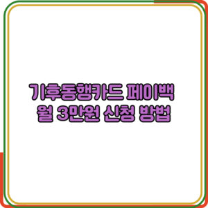 기후동행카드 페이백 
월 3만원 신청 방법