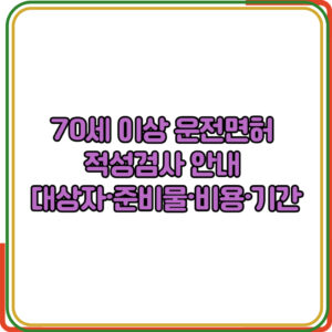 70세 이상 운전면허 적성검사