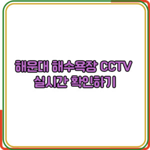 해운대 해수욕장 CCTV 실시간 확인