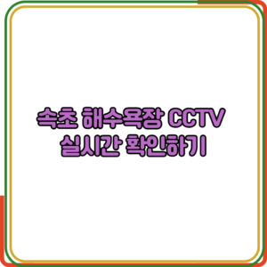 속초 해수욕장 CCTV 실시간 확인