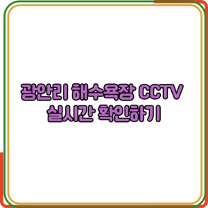 광안리 해수욕장 CCTV 
실시간 확인하기
