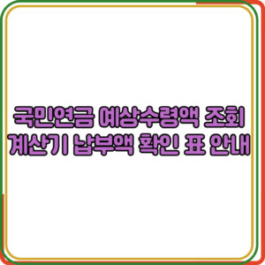 국민연금 예상수령액 조회